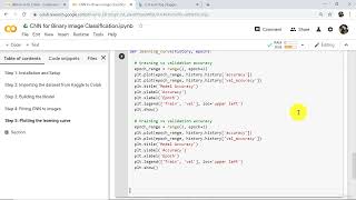 79   Binary Image Classification Step 5
