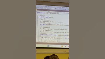 Designer in WinForms .Net C#