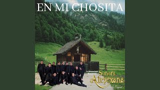 Video thumbnail of "Sonora Altepexana la original - En Mi Chocita"