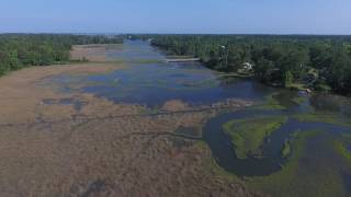 Upper Bradley Creek at High Tide