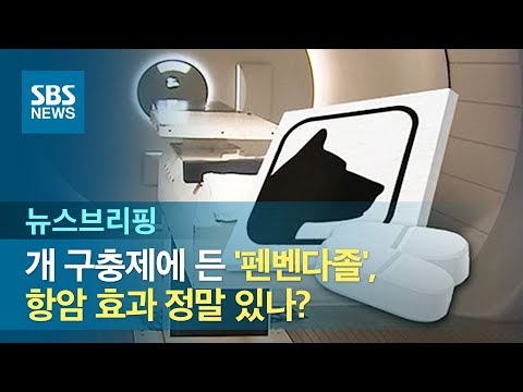 개 구충제에 든 &rsquo;펜벤다졸&rsquo;, 항암 효과 정말 있나? / SBS / 주영진의 뉴스브리핑