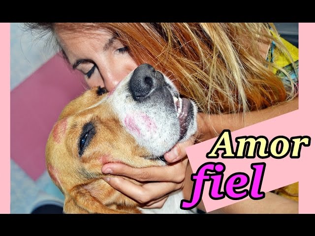 RAP para mi mejor AMIGO, Canción para mi perro Fiel (true love). - YouTube