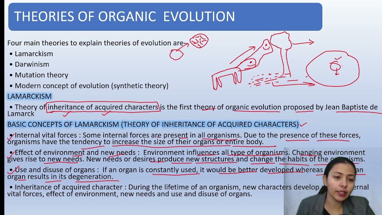 CUET UG Biology Evolution Part 2 Biology Classes for CUET UG 2024 