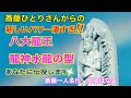 【斎藤一人】斎藤一人名代 ✨舛岡はなゑ💓はなちゃんねる💗Vol28✨斎藤ひとりさんからの新しいパワー凄すぎ‼️ 八大龍王✨龍神水龍の型✨ あなたに伝授します✨