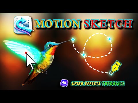 Animating Smooth Bird