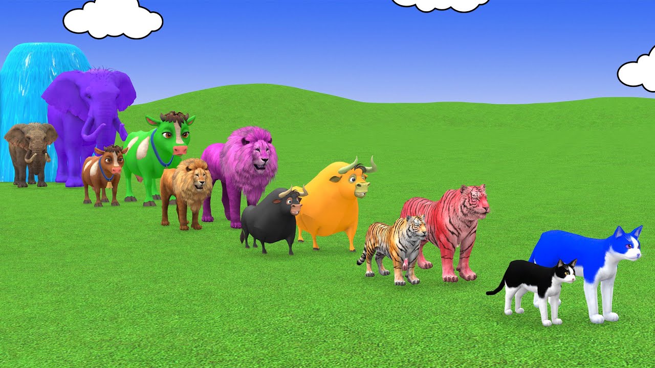 Long Slide Game With Cow Elephant Gorilla Hippopotamus Tiger - 3d Animal Game - Funny 3d Animals