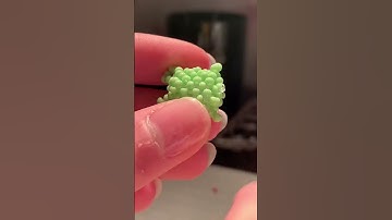 Cute Beaded Frog tiktok beadsmeows
