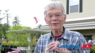 Goffstown Ace Hardware Garden Party