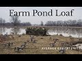 Goose Hunting. Farm Pond Loaf