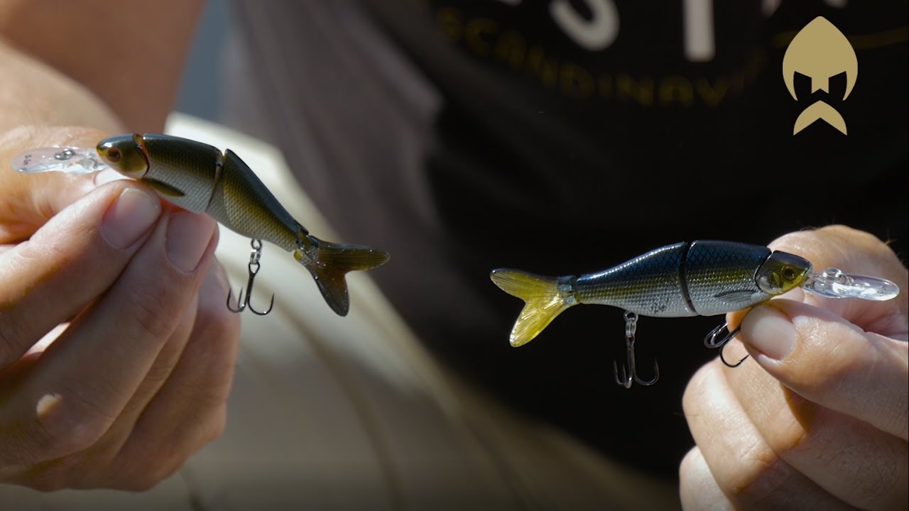 Ricky the roach swimbait Clearance