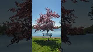 #findleylakeny #travel and #tourism #spring #mothersday #roadtrip #peace #calm #namaste #meditation