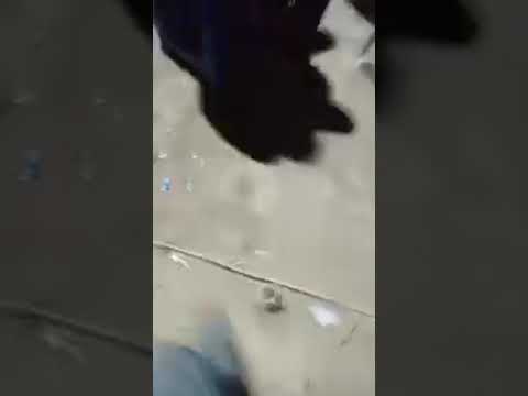 قصبة شاوية فرقة ثازيري عماد بوڨنة ومحفوظ اونيس