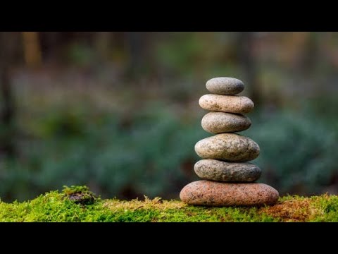 صور نادرة من الاشجار الغريبة 
