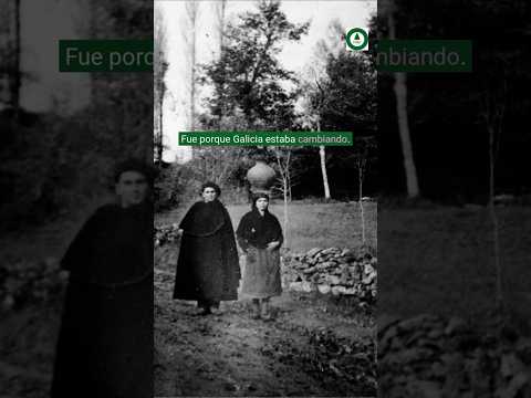 ¿Por qué Galicia empezó a plantar tantos árboles?. 50 años de mitos