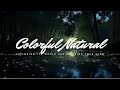 Night relaxing chill romantic slowed lofi music on a  splendid night of fireflies