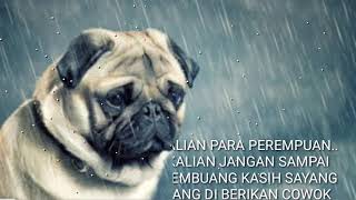 Story WA Anjing galau