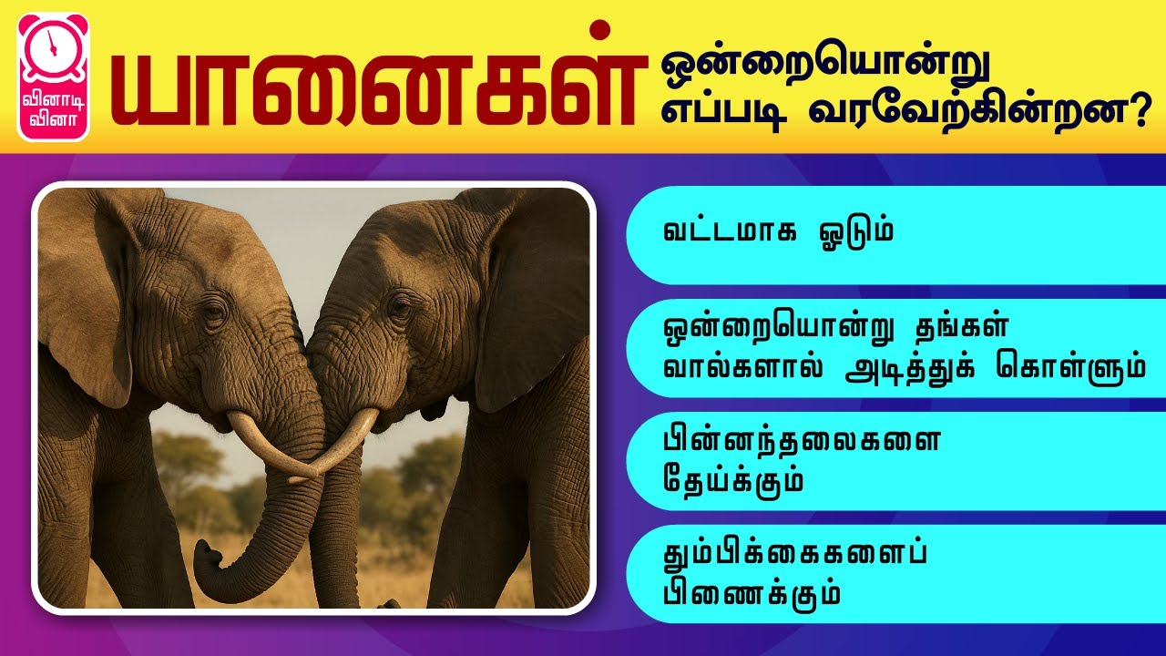 ஒரே வீடியோவில் 30 பொதுஅறிவு! | Tamil GK Smart Learning #gk #quiztime ...