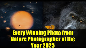 Every Winning Photo from Nature Photographer of the Year 2025 | Stunning Wildlife Images