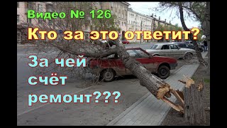 На машину упало дерево!!! Припарковался неудачно.