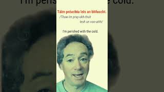 Download Lagu How to say 'I'm perished with the cold' in Irish #bitesizeirish MP3