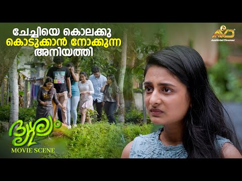 ചേച്ചിയെ കൊലക്കുകൊടുക്കാൻ നോക്കുന്ന അനിയത്തി | Drishyam 2 | Mohanlal | Jeethu Joseph