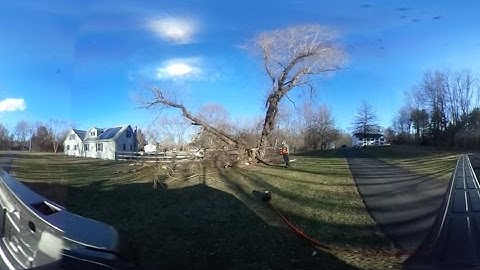 Tree hits HOUSE! - 360 degree video - Part 2