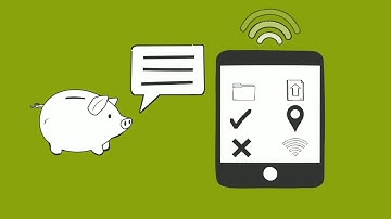 FORESTLINK: An animated overview of real-time monitoring