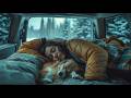 3 Hour Rain Soundscape for Sleep, Meditation &amp; Relaxation – Soft Rain in Nature