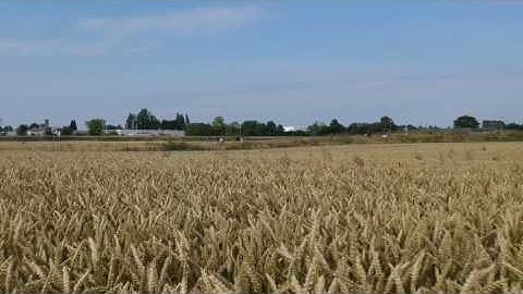 Dji Spark flew away while active tracking