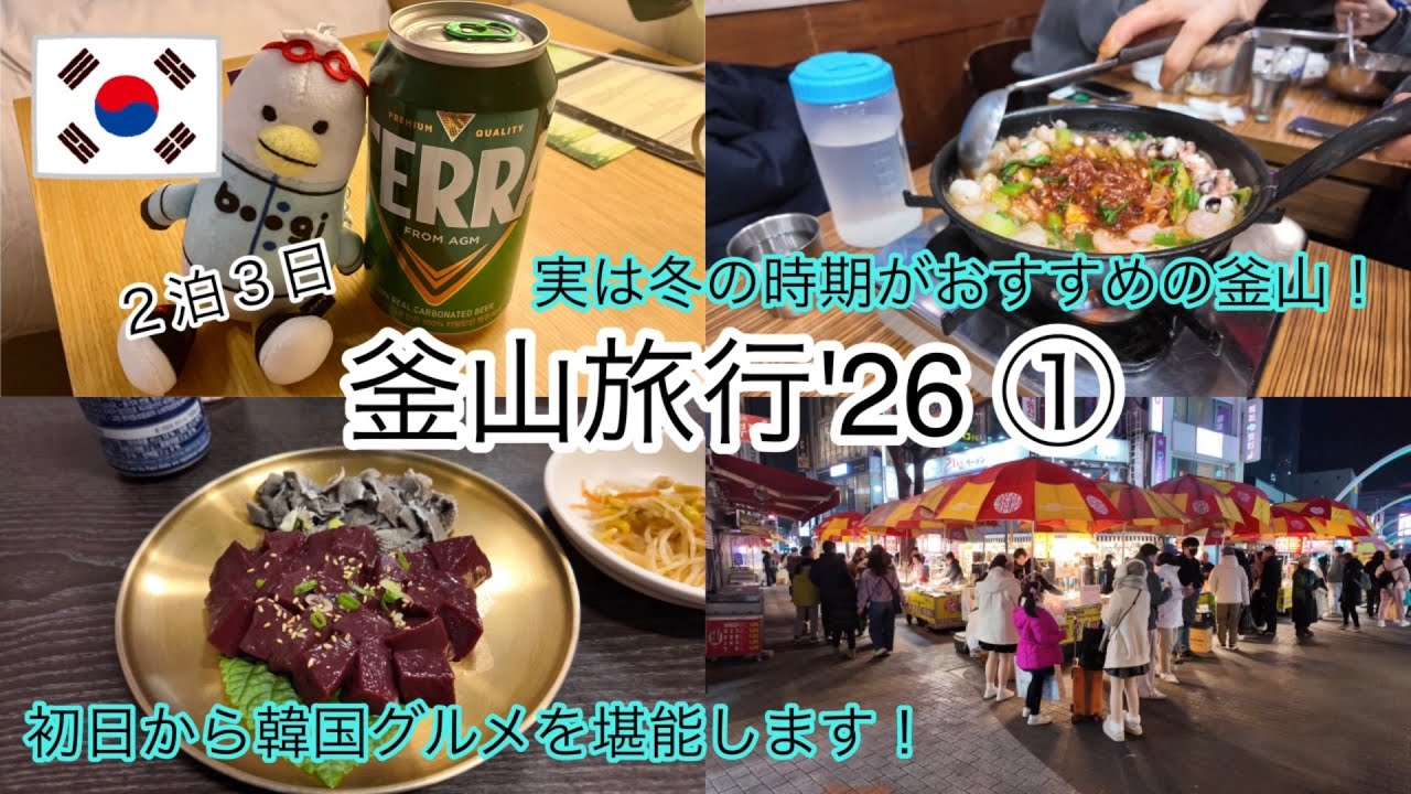 【釜山🇰🇷旅行①】絶品ナッコプセやホットク、生レバーを味わいます！