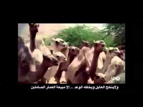 جونا على غره فهيد بن صياح