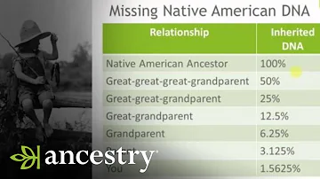 ¿Por qué los nativos americanos no aparecen en el ADN ancestral?