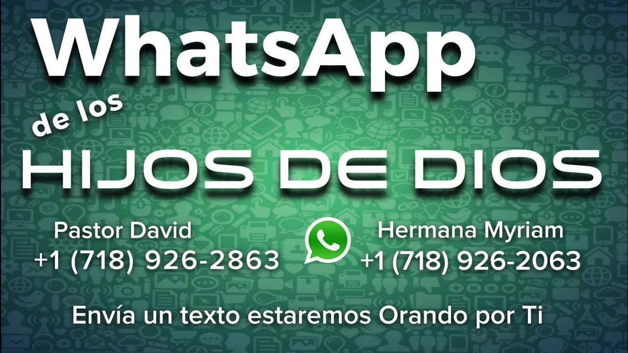 evangelio del dia sangre y agua Compartiendo mensajes de audio del WhatsApp | Martes 15 de Noviembre