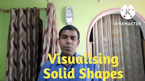 Visualising Solid Shapes // Class 8 maths chapter 10 Exercise 10.1