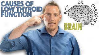 Famous What Causes Low Thyroid Function?  The Answers Might Surprise You Net Worth
