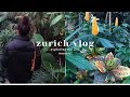 Life in zurich  city plant nursery