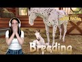 BREEDING BEAUTIFUL FOALS || Rival Stars Horse Racing