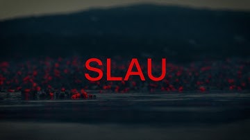 DARKSIDE - "SLAU" (Official Video)