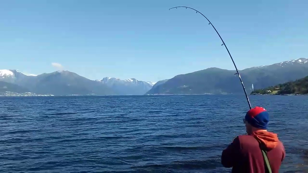 Sognefjord shore fishing Norway fjord - YouTube