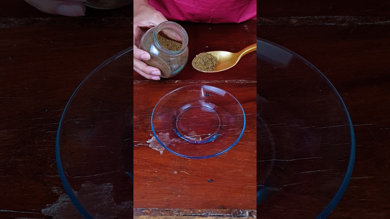 Get rid of flies easily with this amazing homemade tip!