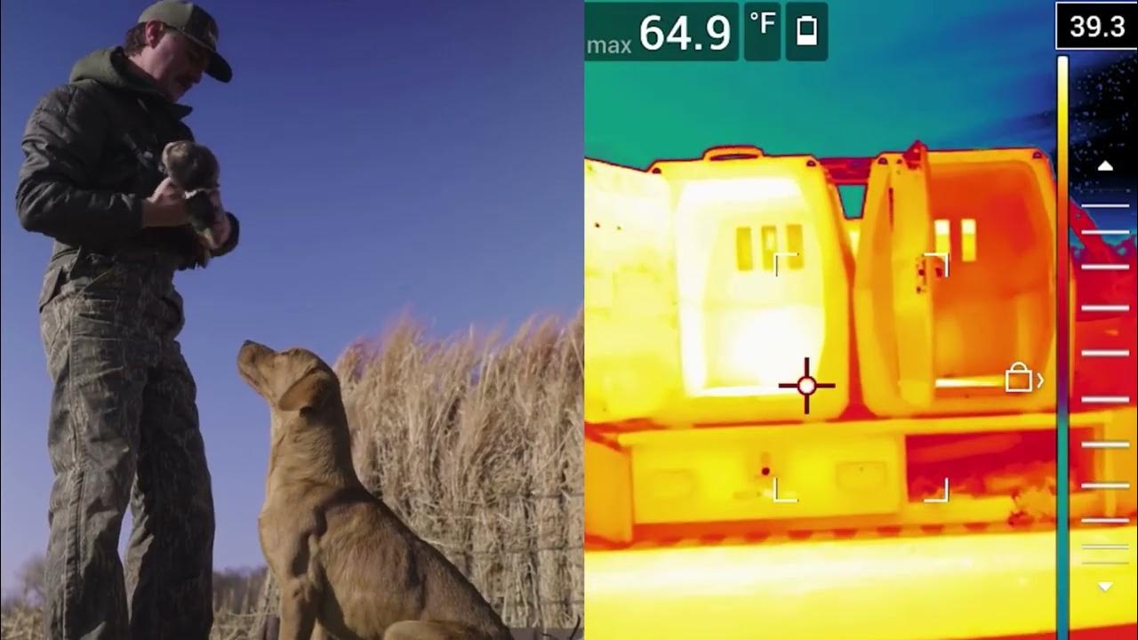 GUNNER Cold Temperate Testing GUNNER Kennels YouTube