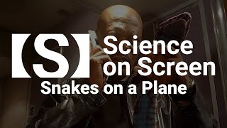 Sneaky Snakes and Slithering Snakebots: SNAKES ON A PLANE