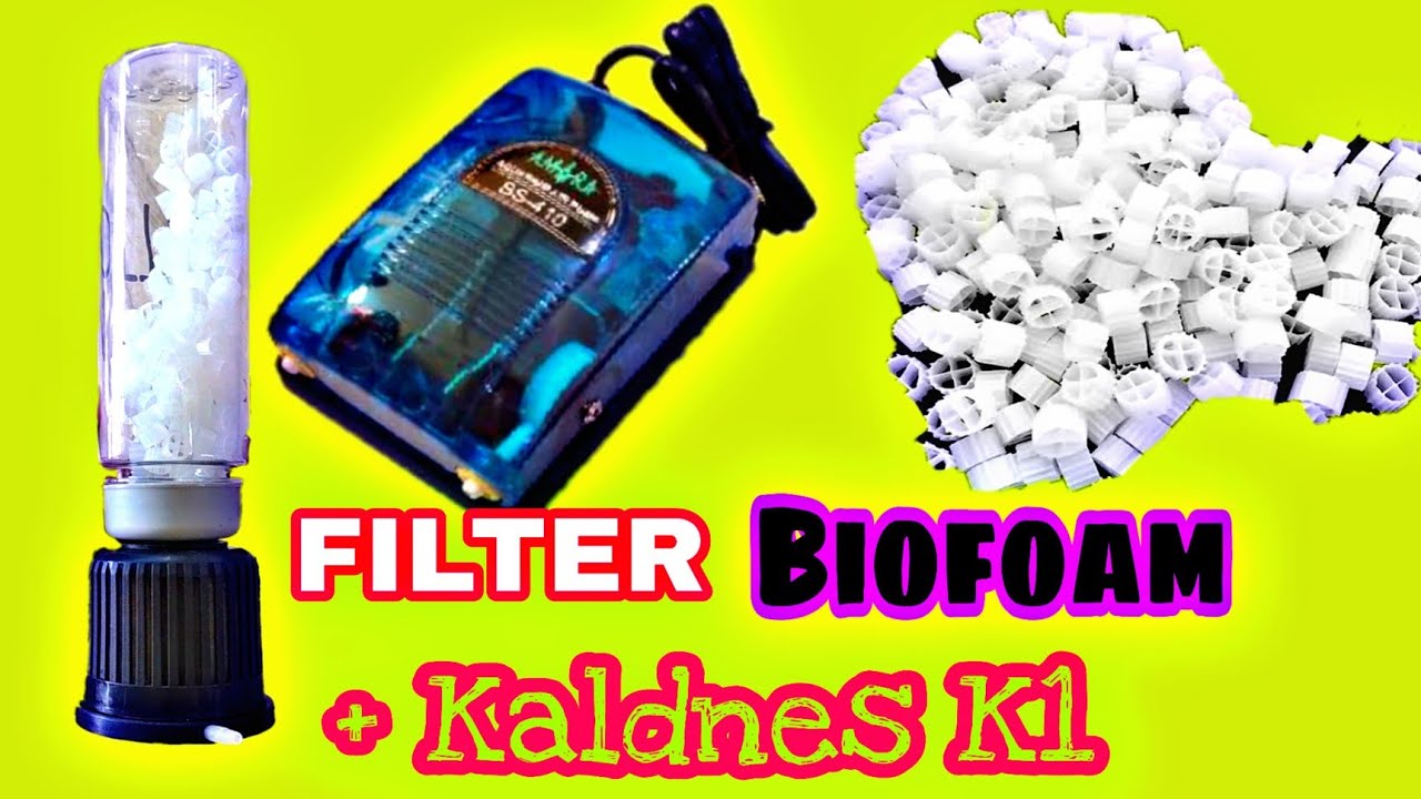 Cara Mudah Membuat Filter Bio Foam Kaldnes K1