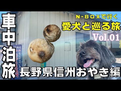 【N-BOXで行く!車中泊旅】2泊3日長野県信州旅① 灰焼きおやきって何??おやき食べ比べ編 【あんずもビックリ!おやきってこんなに大きくて硬かったっけ!?】