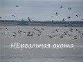 НЕРЕАЛЬНАЯ охота на утку  2019 / База - Приволье / Отличная охота /  Duck hunt 2019