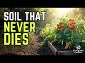 The Secret Behind Garden Beds That Produce for 20+ Years (Most Gardeners Miss This)