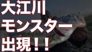 【バス釣り 大江川】モンスターバスに引き摺り回された！