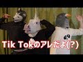 Tik Tokの真似をしてみたけど大体がクソ