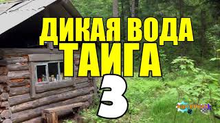 ПРОМЫСЕЛ В ТАЙГЕ | СКРАДОК НА ГУСЯ СВОИМИ РУКАМИ | ЖИЗНЬ В ТАЙГЕ ЗИМОЙ | СУДЬБА ЧЕЛОВЕКА 3