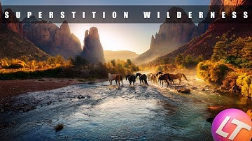 LobbyTV — 4K Scenic Loops for Corporate Lobbies & Reception Areas